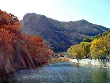 管家婆免费正版资起大全，大叶女贞产地